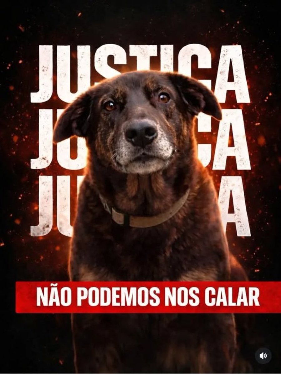 cristiana berthoud tweet media