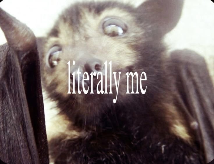 kei ݁ᛪִ༙ ࣪𖤐 tweet media