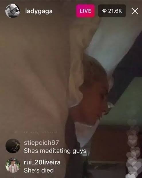 carlos buburrón tweet media