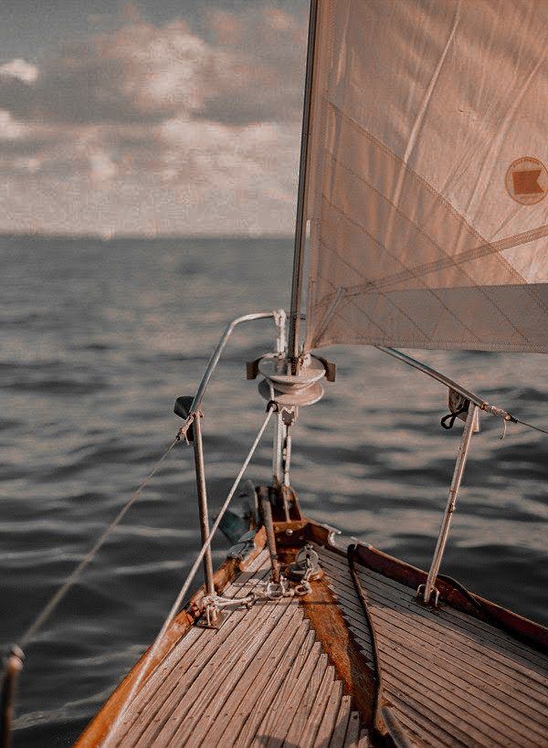 Delight Moments tweet media