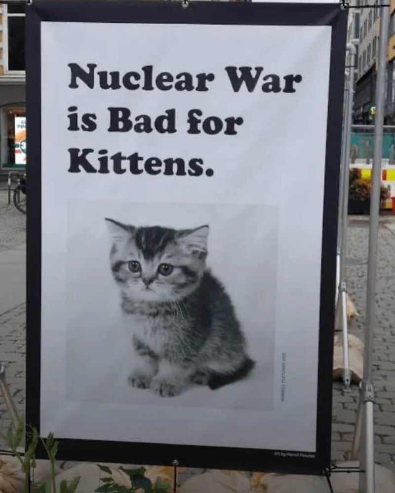 Punch Cat tweet media