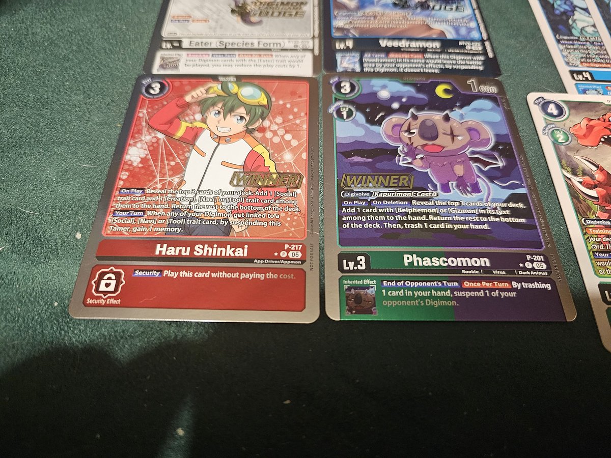 Sean Stackhouse tweet media