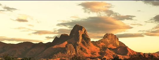Bandera Roja Guárico tweet media