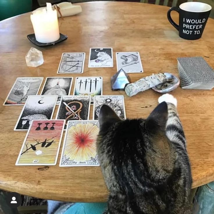 —  HOROSCOPO Y AURA SEMANAL DEL 16/03 AL 22/03 + PREDICCIONES 2026 (AMOR, TRABAJO, CRECIMIENTO PERSONAL)
• leer por sol y ascendente
• toma lo que resuene