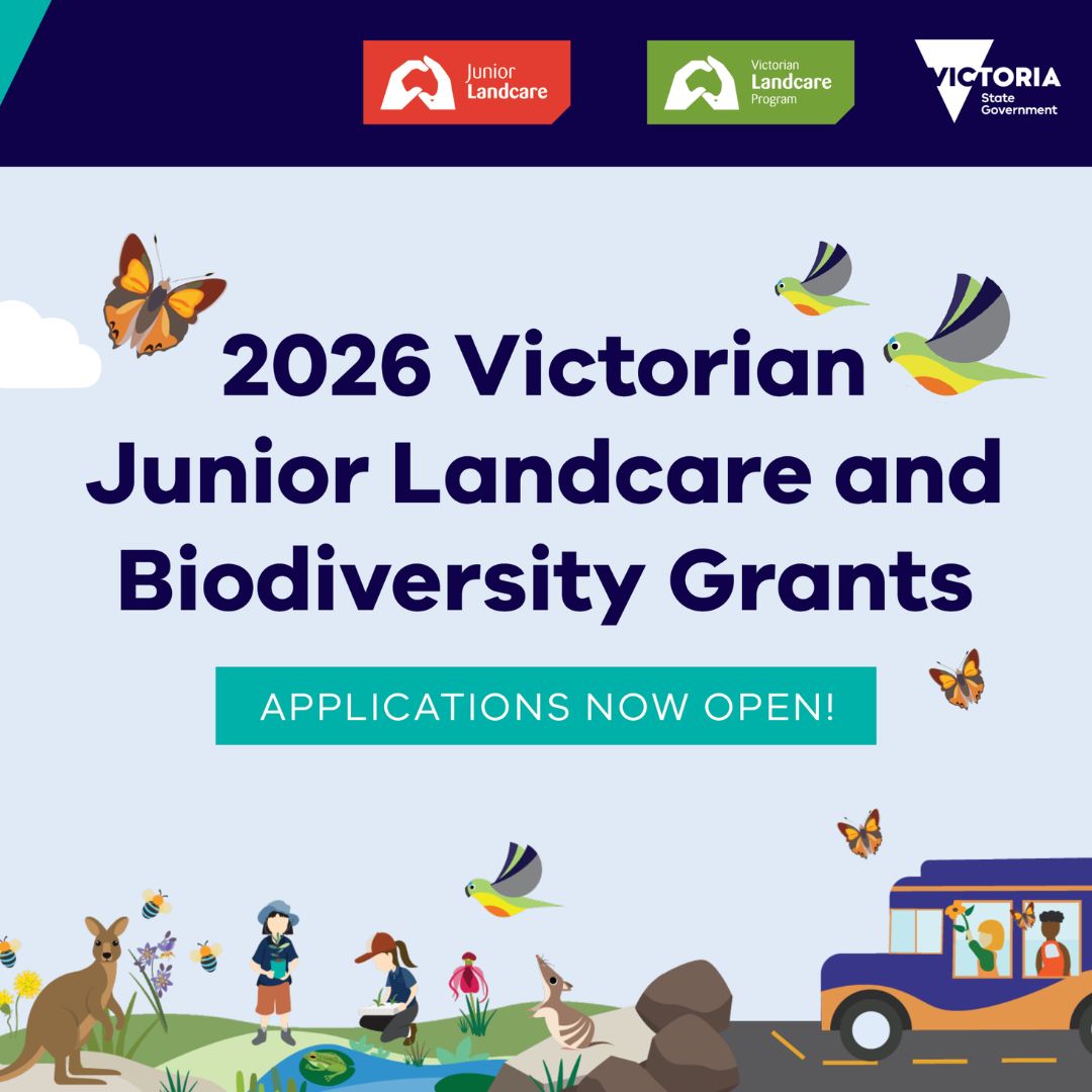 OzPIEF's tweet image. Educators 🌱
Turn your next learning idea into action with a Victorian Junior Landcare &amp;amp; Biodiversity Grant. Up to $5,000 available!
Create habitat gardens, Frog Bogs, citizen science projects &amp;amp; more 🐸🔬🌳
⏰ Closes Fri 27 Mar 26
👉 Apply buff.ly/T5UhR7t
#PIEFA #AussieEd