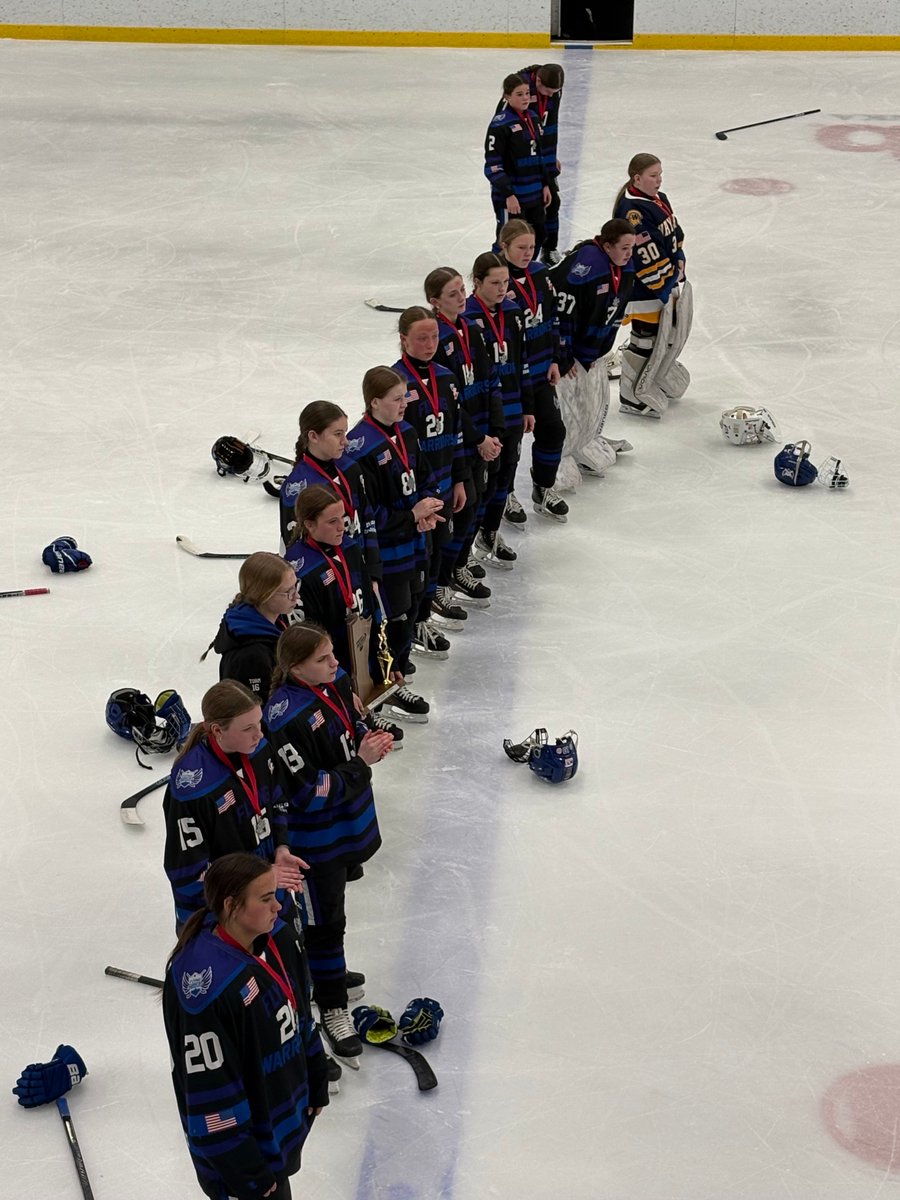 Brainerd Youth Hockey tweet media