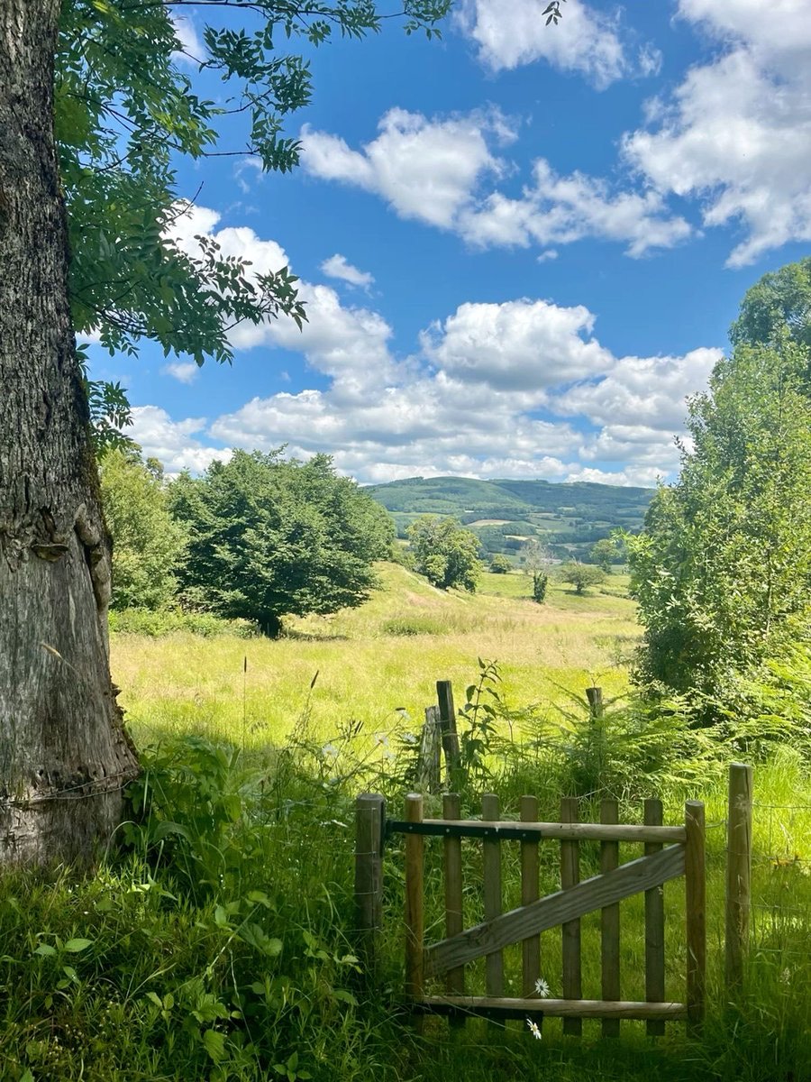 بانـــⷱــᷜــᷠـــᷧــᷩـــکے مᷠـــͣـــͥــⷨــــیاں tweet media