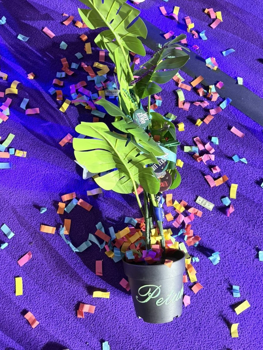 petunia got PAIDDDD🥳🥳🥳💙🩵💚