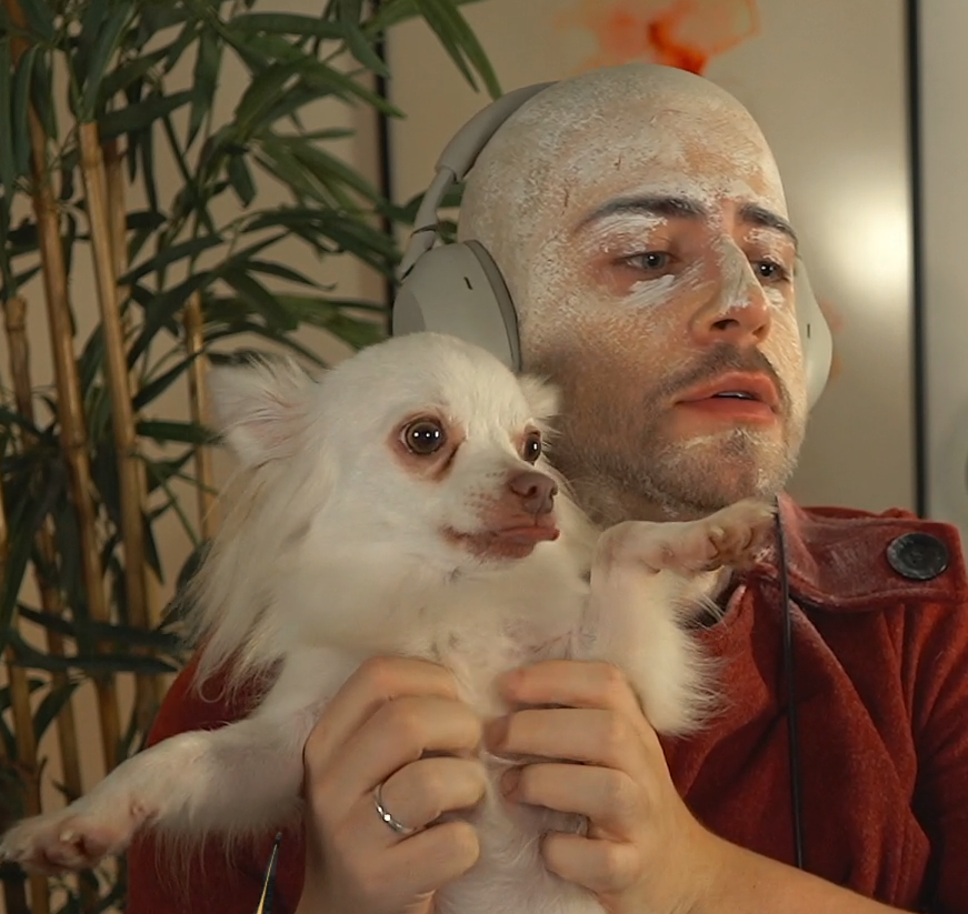 cellpets tweet media