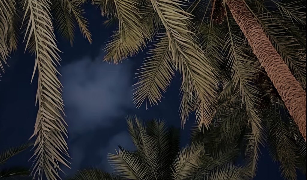 ميّم tweet media