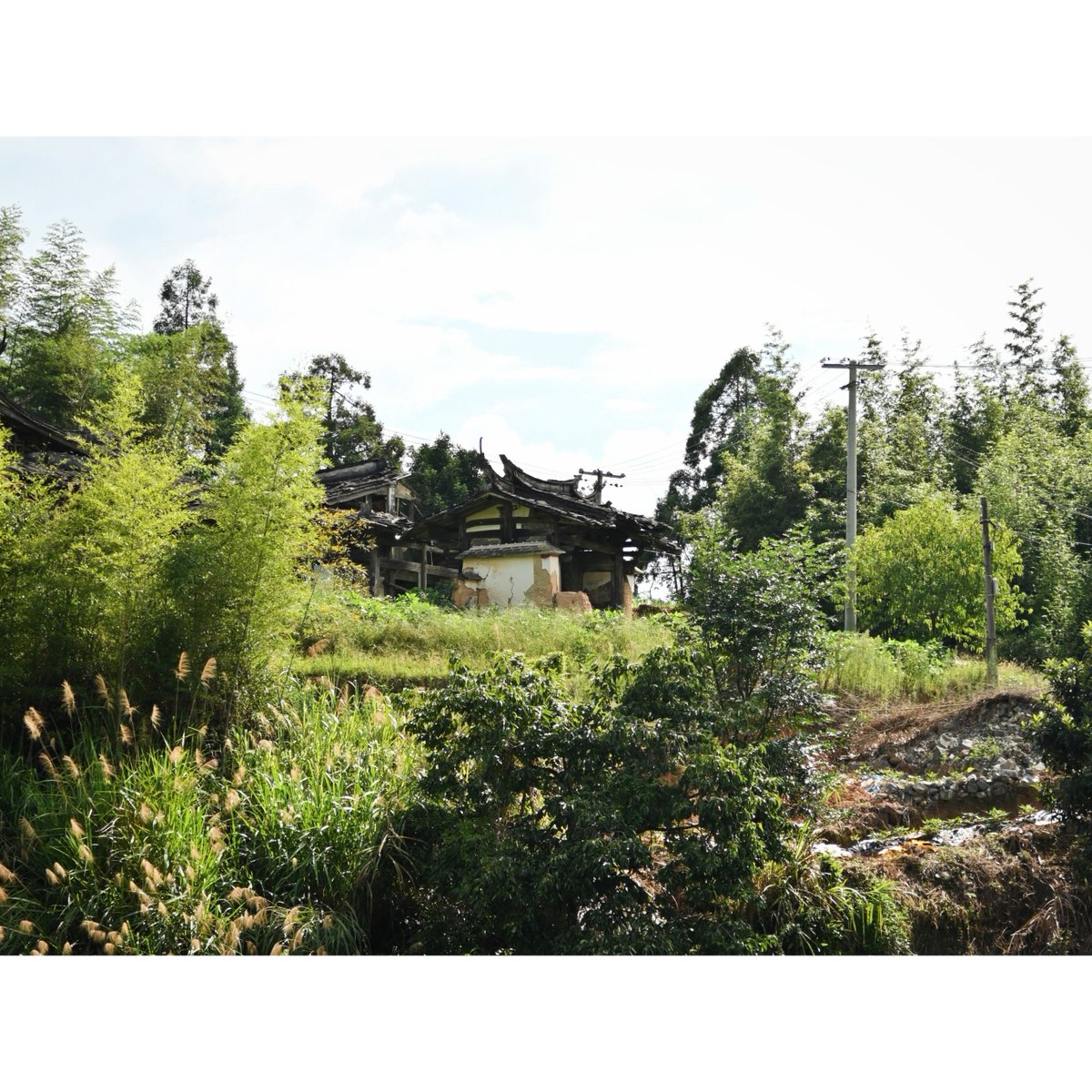 说梦闲人 tweet media