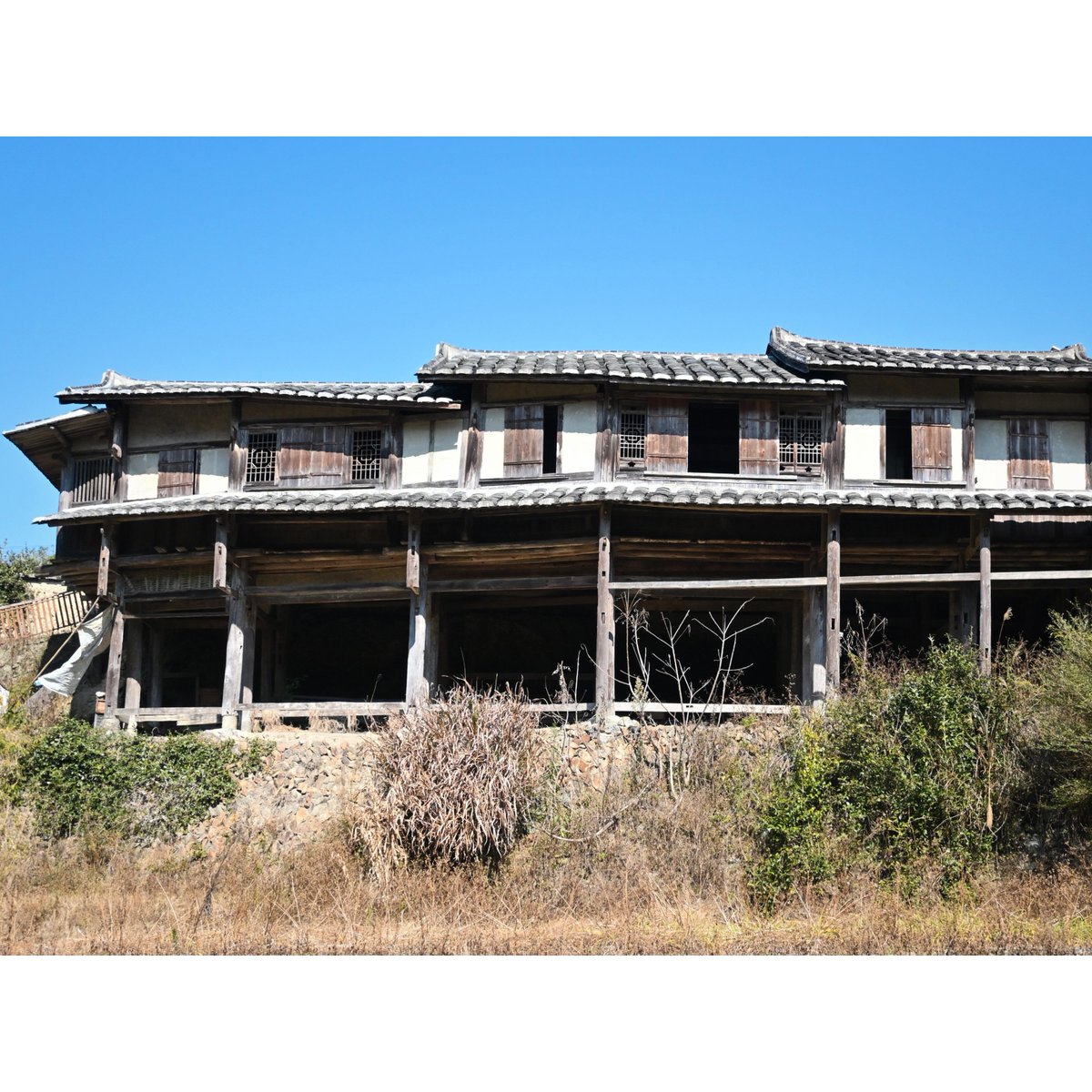 说梦闲人 tweet media