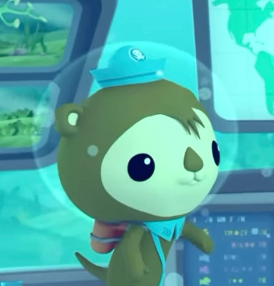 Spot 🫎🐢 tweet media