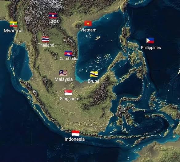 🦑uminotami🚀 tweet media