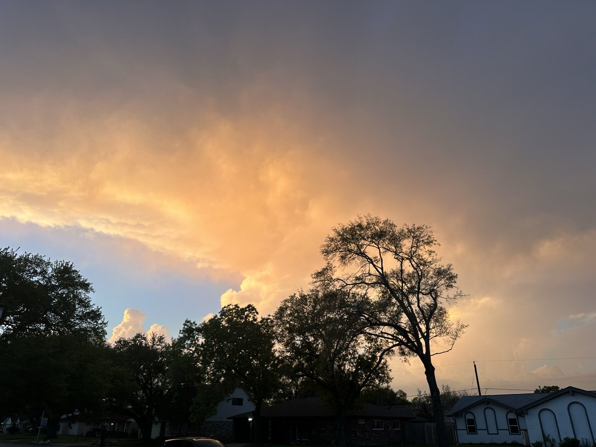 Bob Pack tweet media