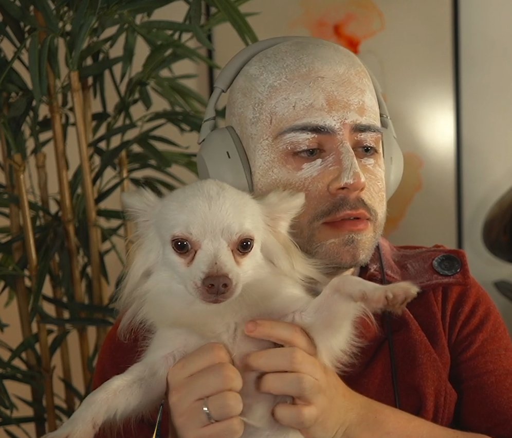 cellpets tweet media