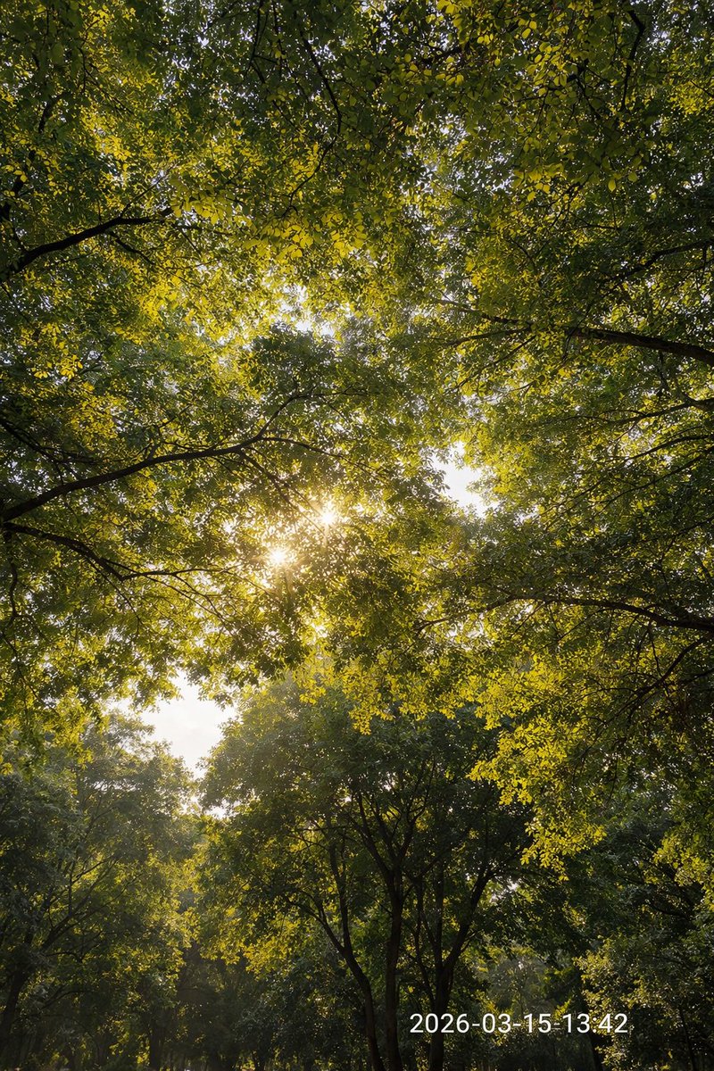 María Ángeles tweet media