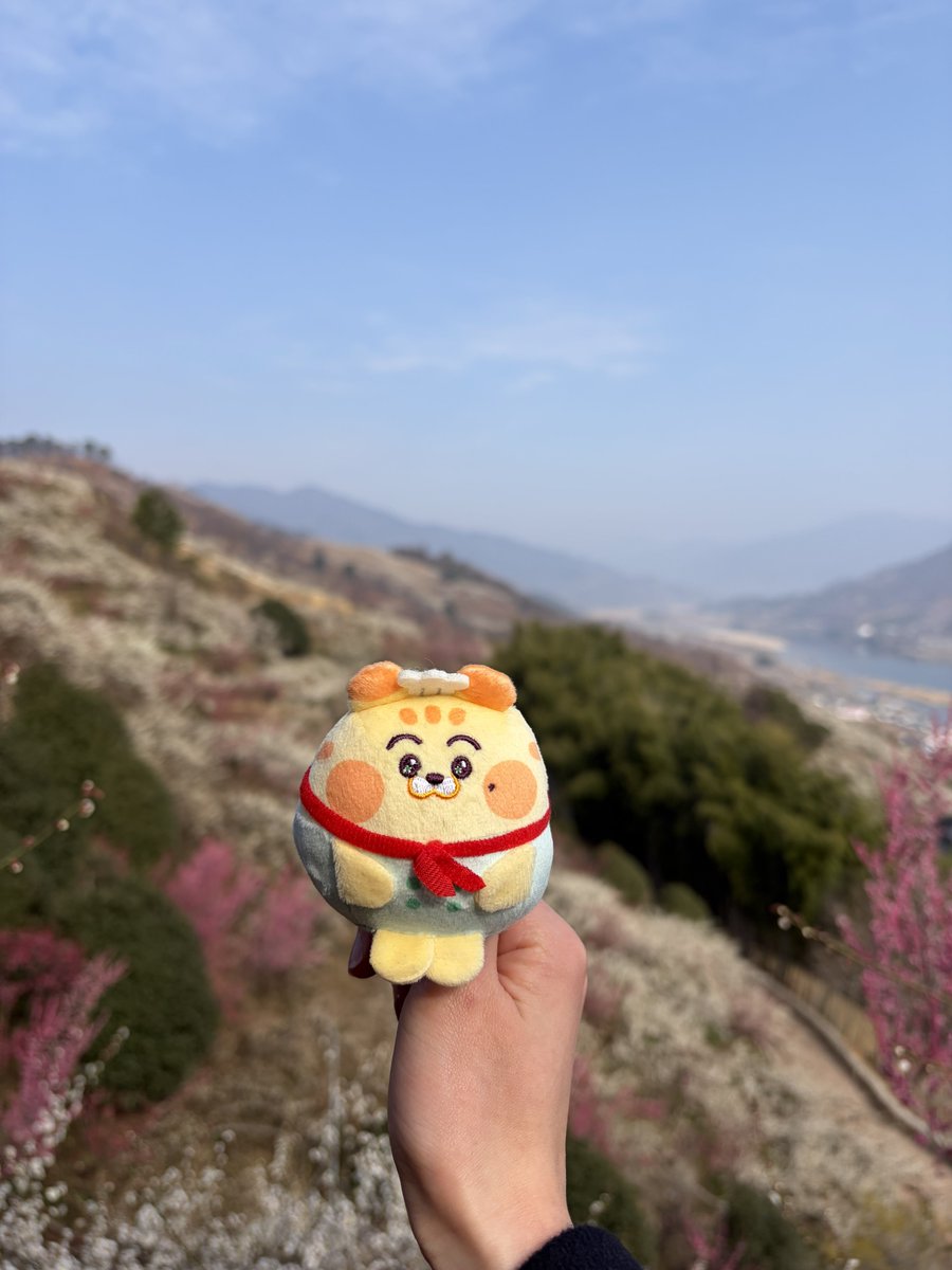 절경이고요~ 
장관이네요~
