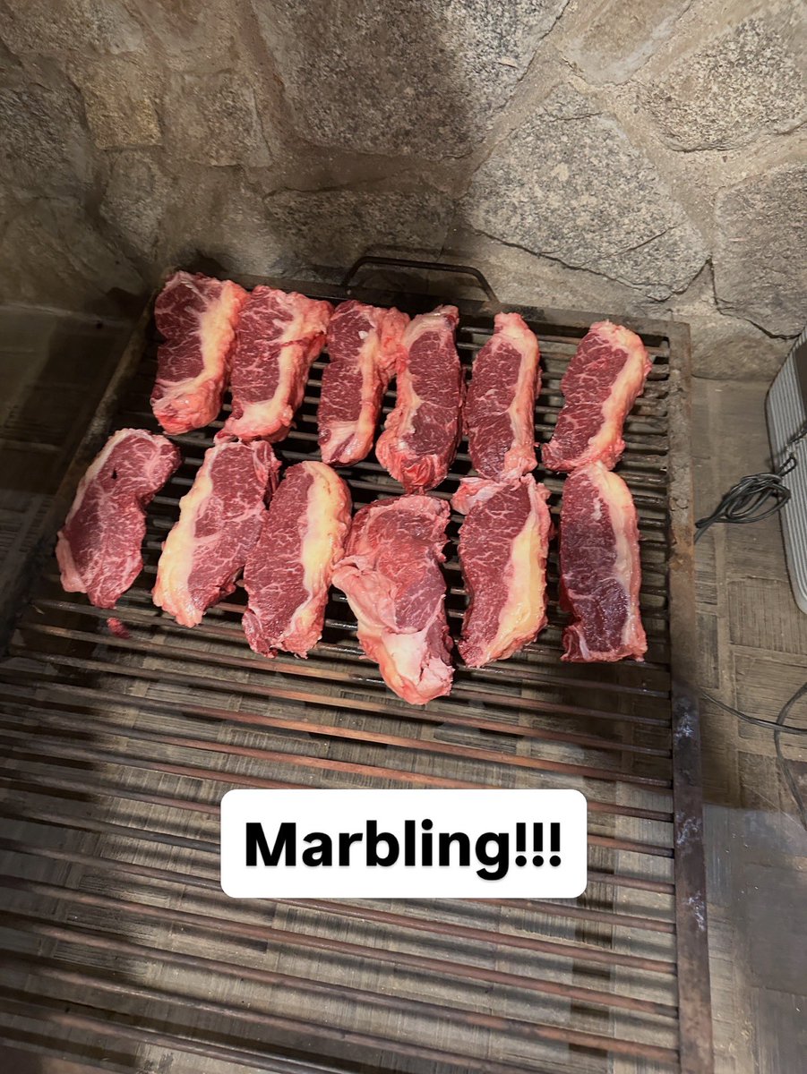 Dario Colombatto tweet media