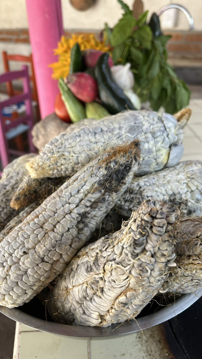 MiguelConde75's tweet photo. Descubre este ancestral MOLE DE HUITLACOCHE de Tlaxcala servido con costilla, esquites y chilacayota. Receta de Juan Manuel Carpintero en la Exhacienda Soltepec | HISTORIAS DE SABOR ==> https://t.co/kQPsKd0VEw https://t.co/LgnUTNDMmc
