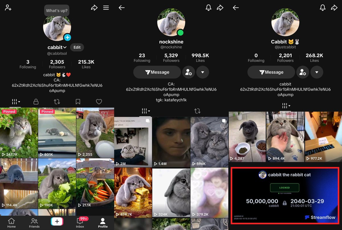 Cabbit 🐰 tweet media