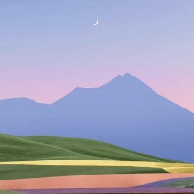 Rose🌸 tweet media