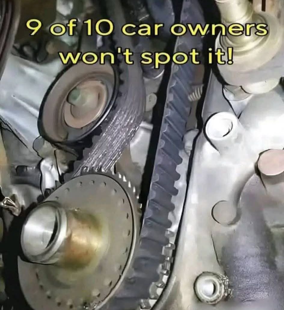 Connie 🇺🇸 tweet media