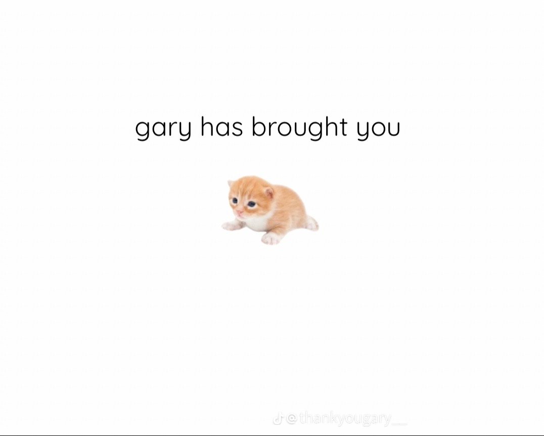 Posts Of Kittens🐾 tweet media