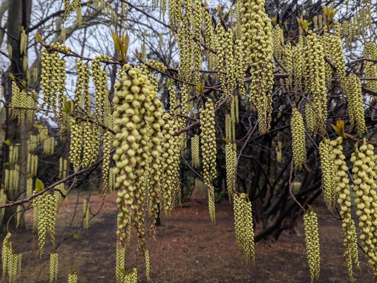 旅先での写真 tweet media