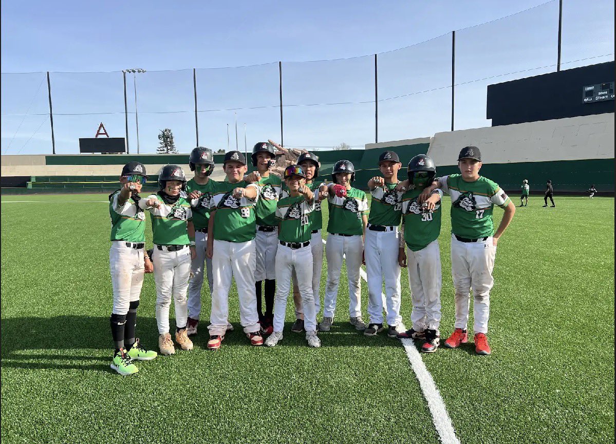 Perfect Game Nevada tweet media