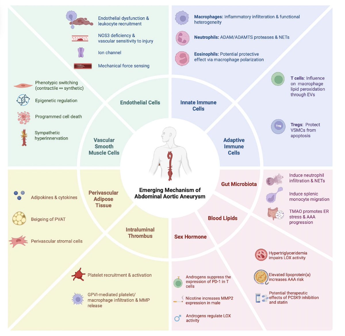 Scott Cameron 🏴🇺🇸🫀🩺📟🔬🧫🧬🥋 tweet media