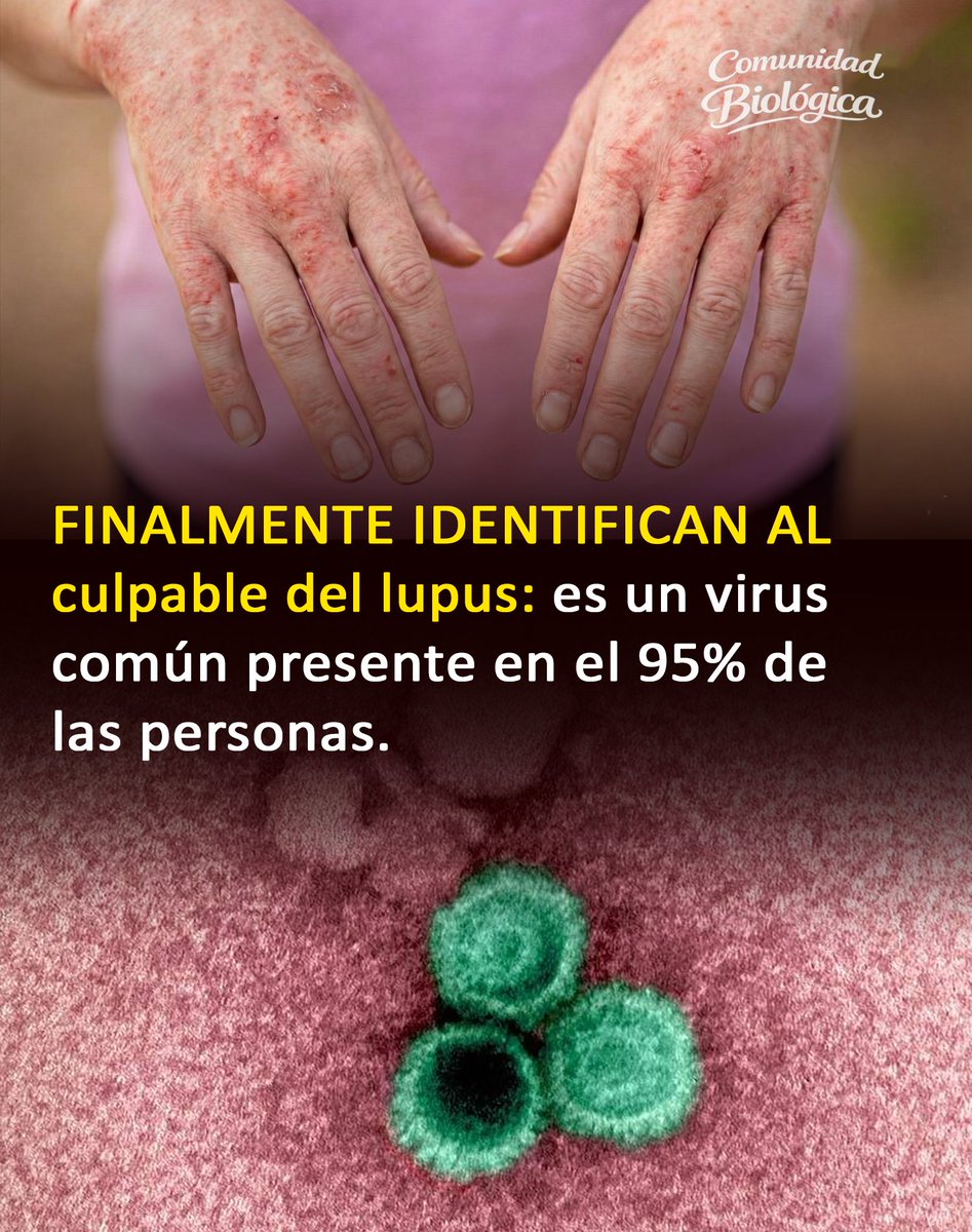 Comunidad Biológica tweet media