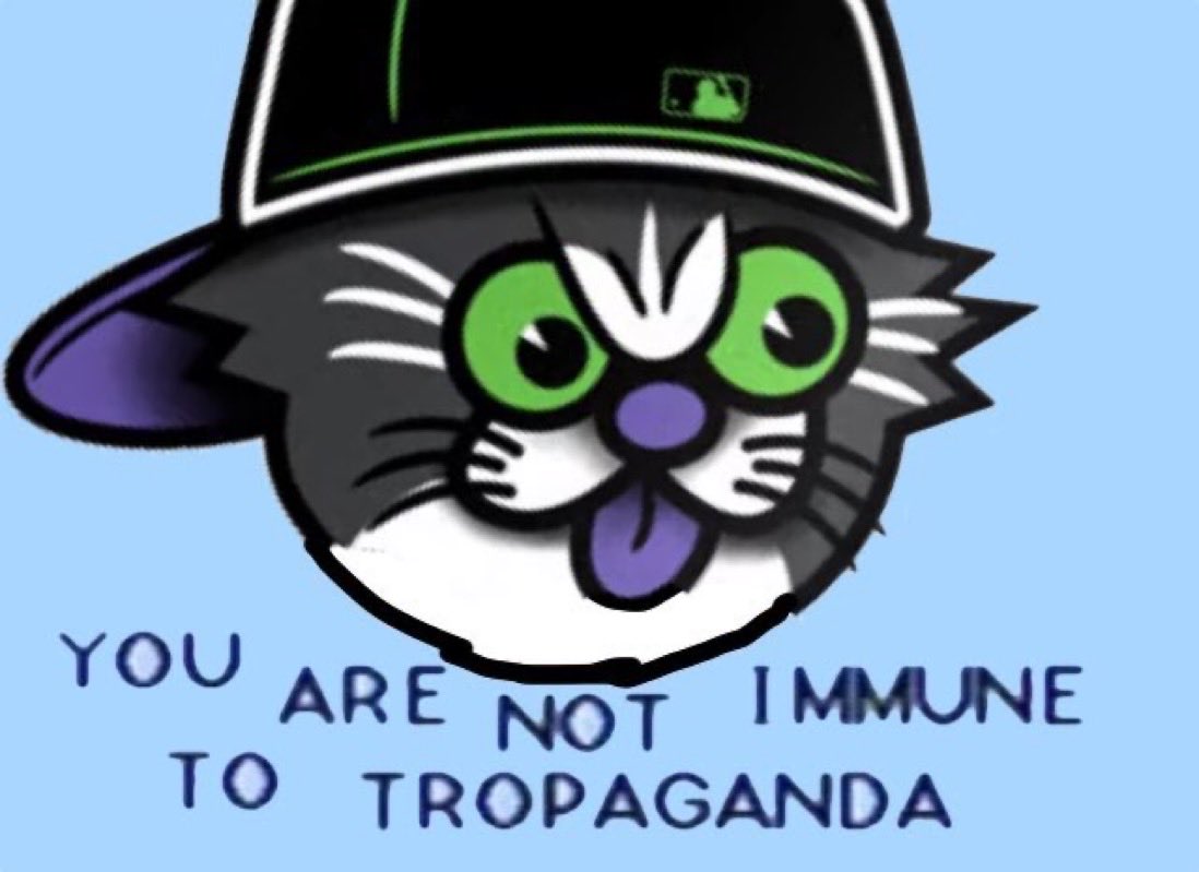 Mike Mohsen tweet media