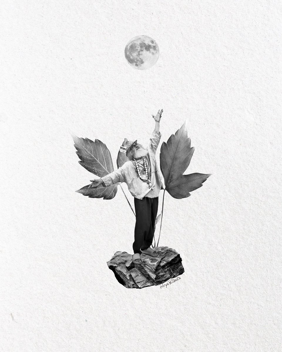 HrysBasics/ヒロヤス tweet media