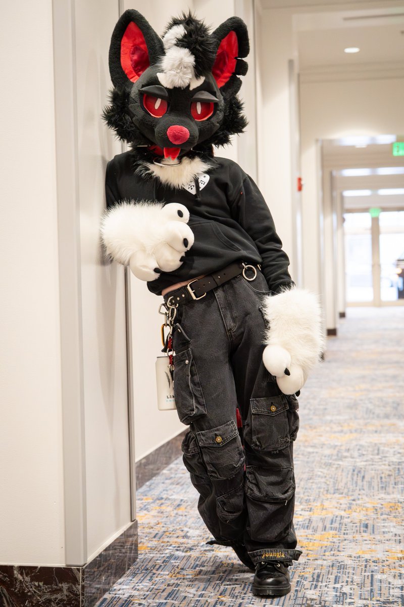 Flow the Wolf - F2 tweet media