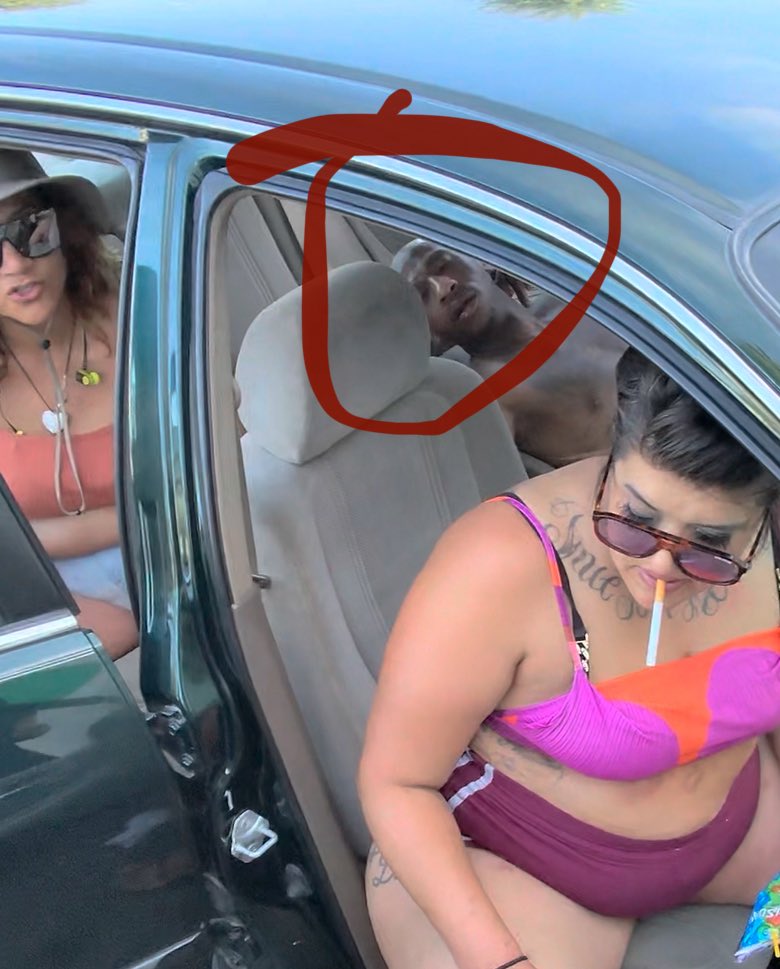 Lizardhunter tweet media