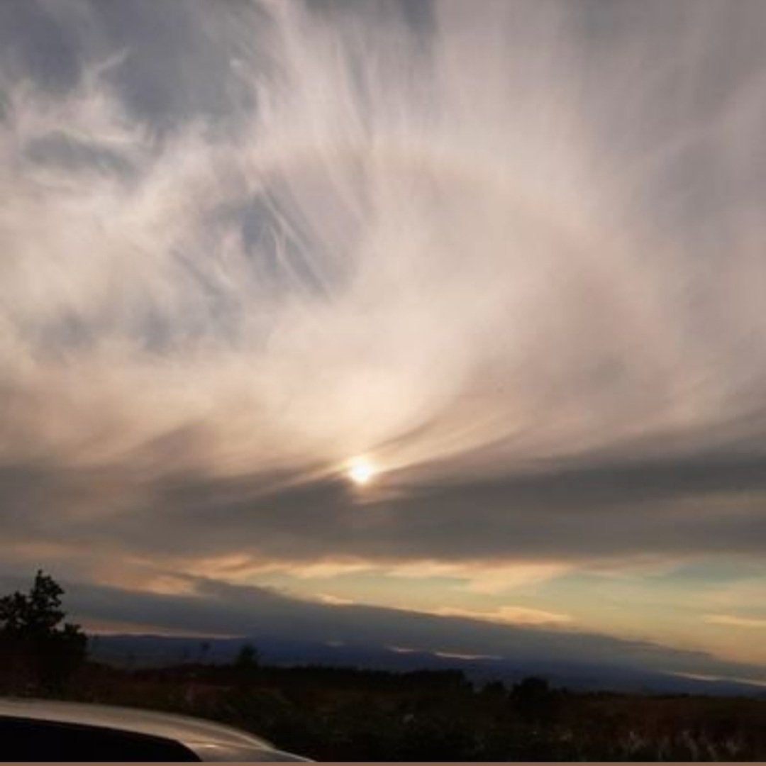 inkyblue tweet media