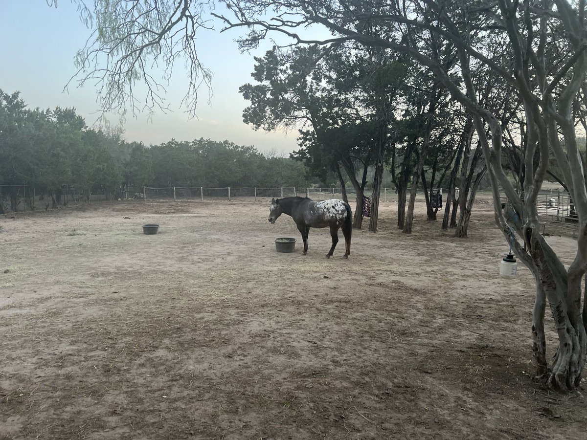 Fishmaster23 tweet media