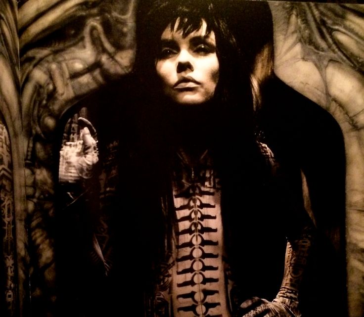 ℝ𝕖𝕕𝕖𝕣𝕒𝕟𝕘𝕖𝕕 ✝️ tweet media