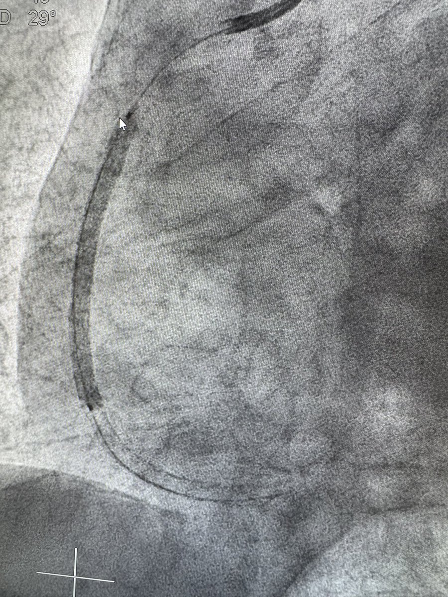 𝕁𝕆𝕁𝕆 🩺🫀 tweet media