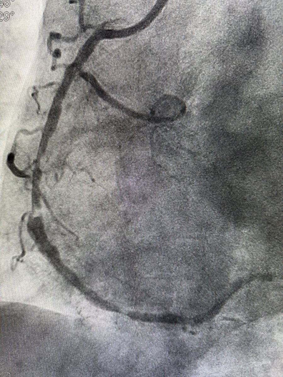 𝕁𝕆𝕁𝕆 🩺🫀 tweet media