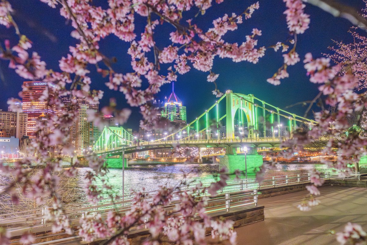 Dave DiCello tweet media