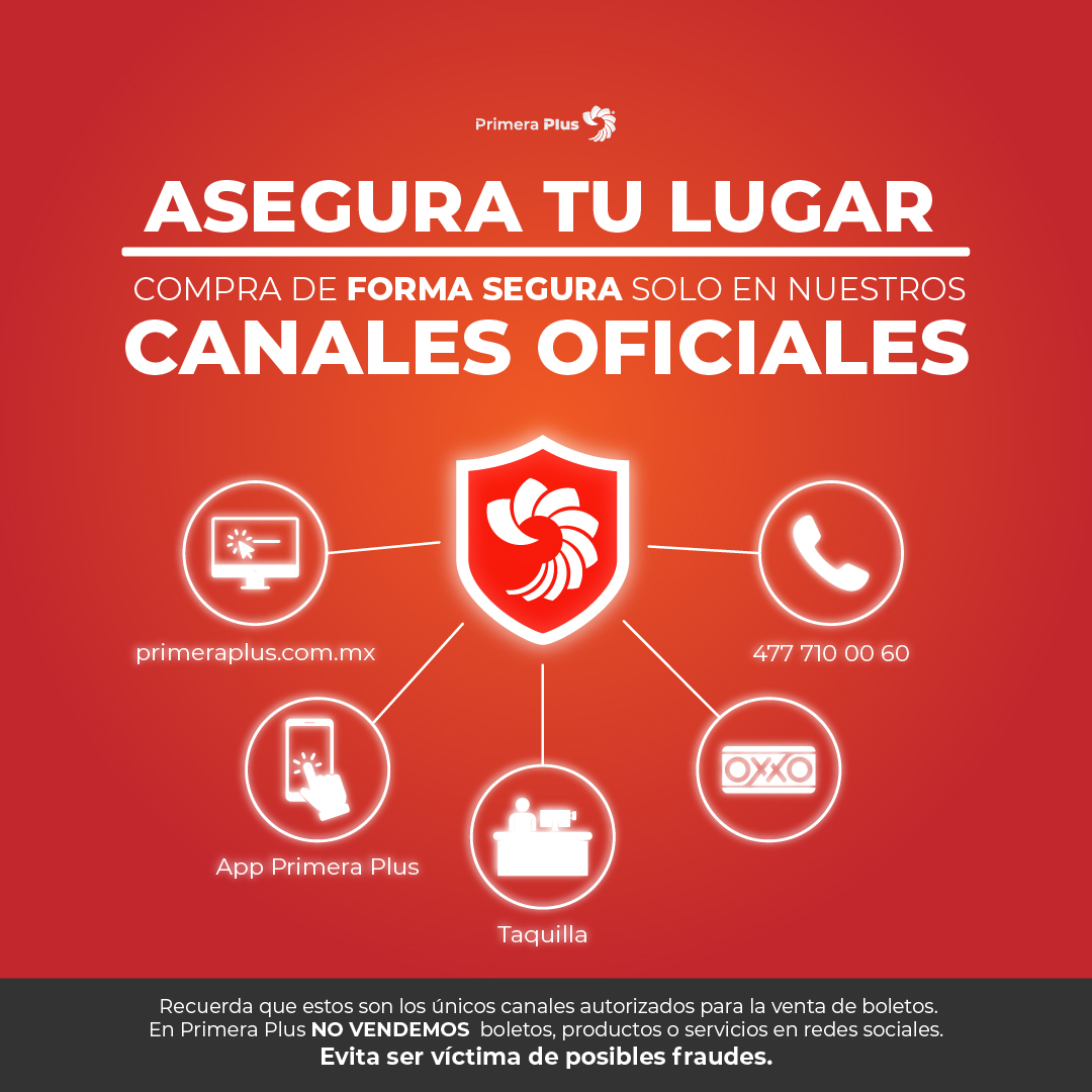 Primera Plus tweet media