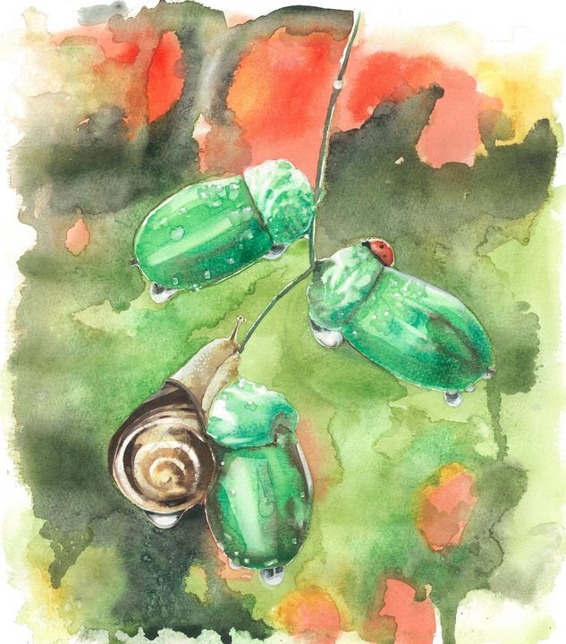 Robert Czibi tweet media