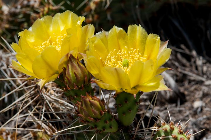 John  Bartelt tweet media