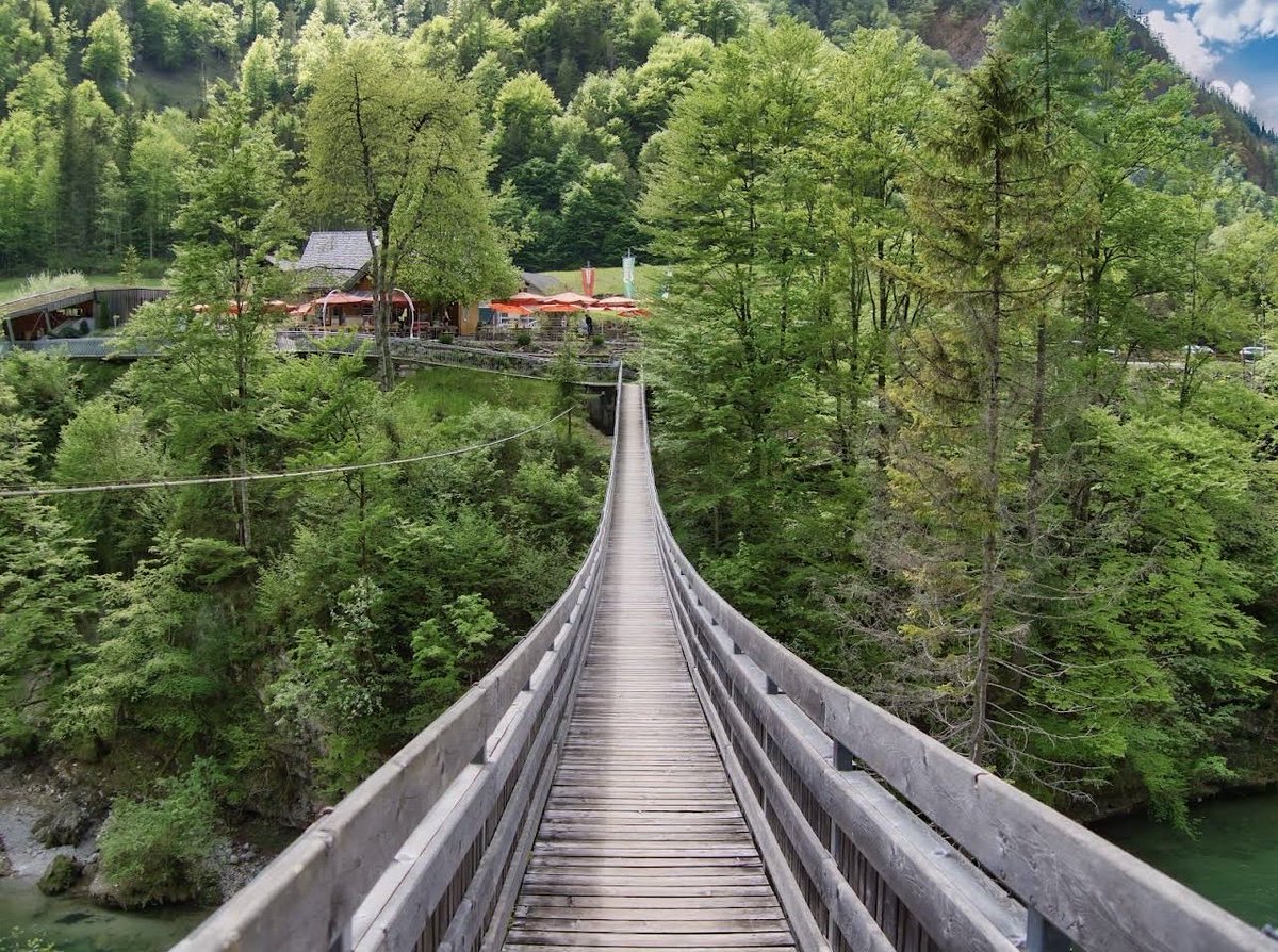 عبدالرحمن #النمسا 🇦🇹✈ tweet media