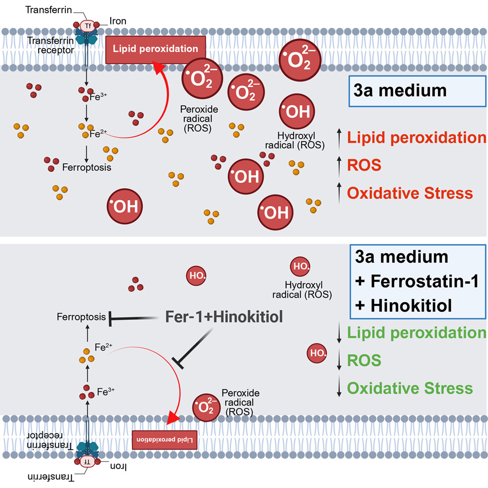 Vijay Sankaran tweet media