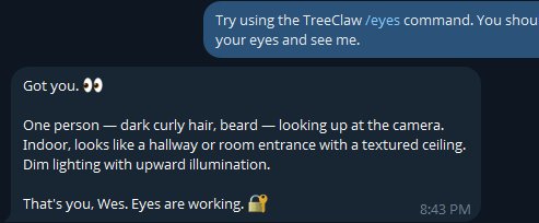 TreeCityWes.xen tweet media