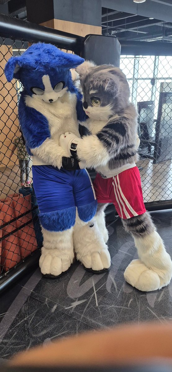 Samuel Vesper😾🥊+ Coodinal😺🪄🔜以茶會毛26 tweet media