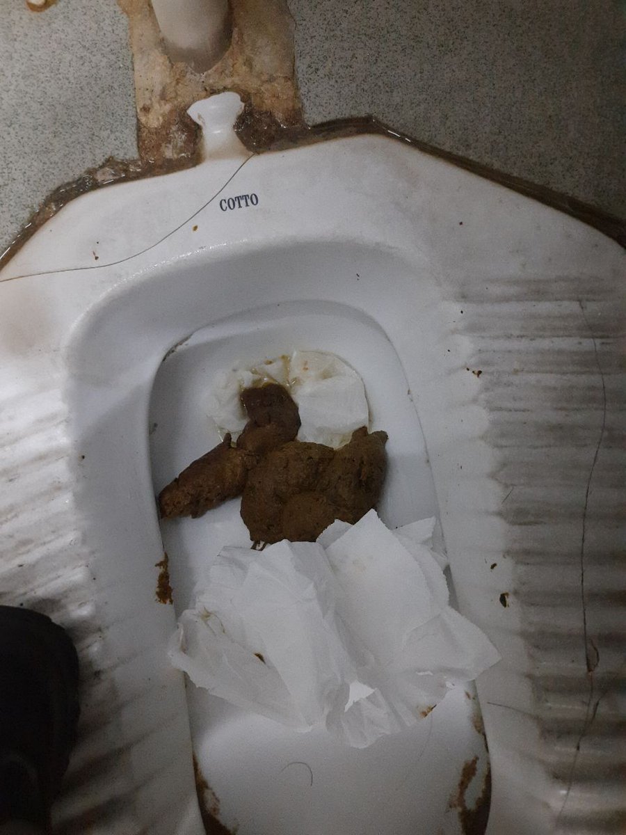 sexyscatboy's tweet photo. Found extreme big multiple loads from unflushed toilets and add loads onto it
#gayscat #gayshitting #defecation #defecating #拉屎 #脫糞 https://t.co/hnLle2EBTj